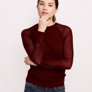 Brass Year Round Raglan Sweater with Sheer Sleeves in Burgundy